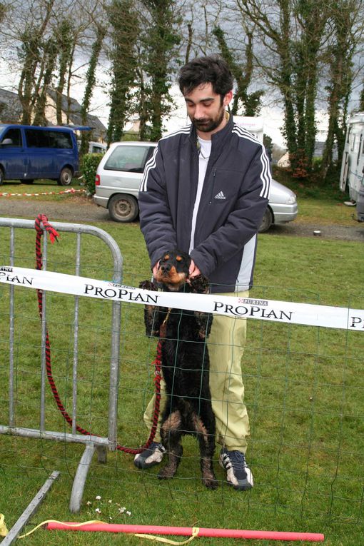 Album - 12-Concours-Agility-La-Martyre-10-03-2013-2