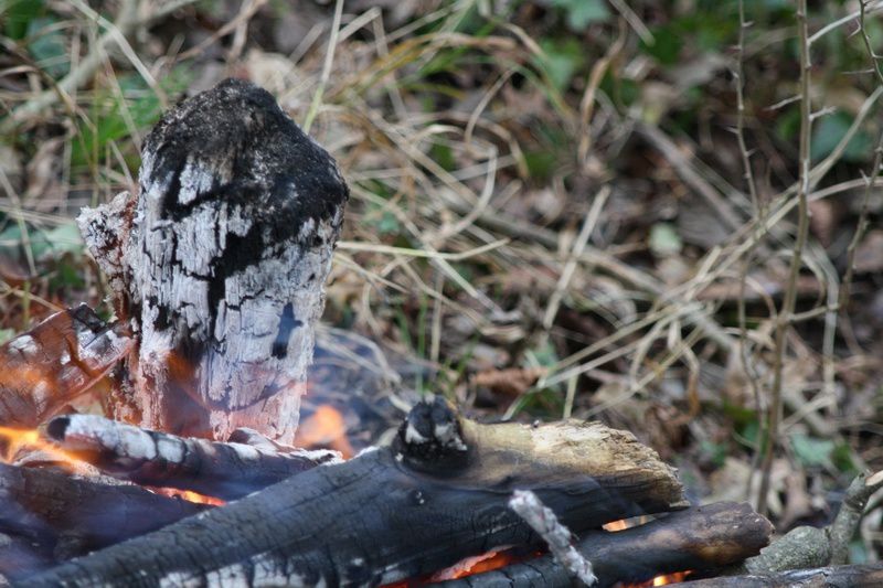 Le 27 décembre 2013, Le Lion d'Or effectuait son premier vrai voyage de remonte sur la rivière Allier