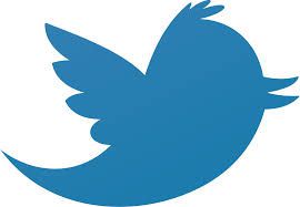 Twitter, l'oiseau bat-il de l'aile?