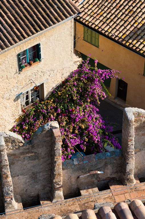 17/11/2012 - Visite du Château-Musée Grimaldi à Cagnes s/Mer puis du musée Bonnard au Cannet (Alpes Maritimes)