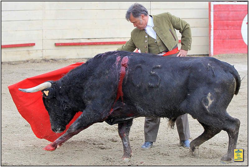 DIAPORAMA DE LA FAENA DE PATRICK VARIN