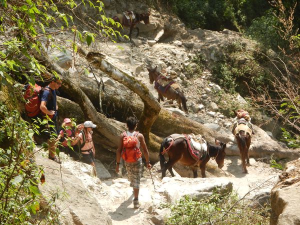 Trekking du Langtang – 2ème partie : l'Himalaya en plein cœur