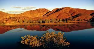 #White Sparkling Wines Producers South Australia Vineyards 