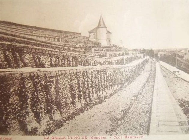 Clos Bertrand