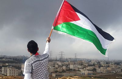 Palestine: Appel d'organisations à l'ONU