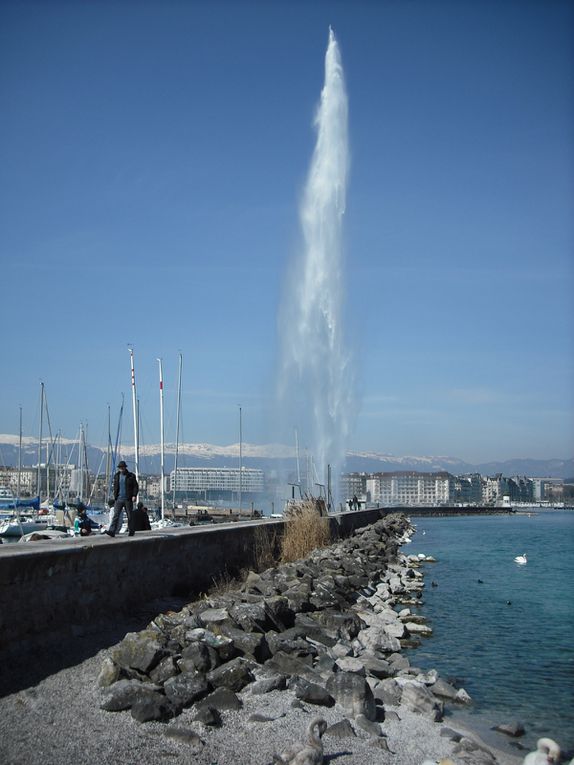 Le Jet d'eau