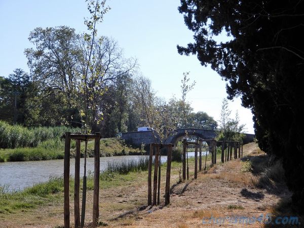 Epanchoir de l'argent double, canal du midi en camping-car
