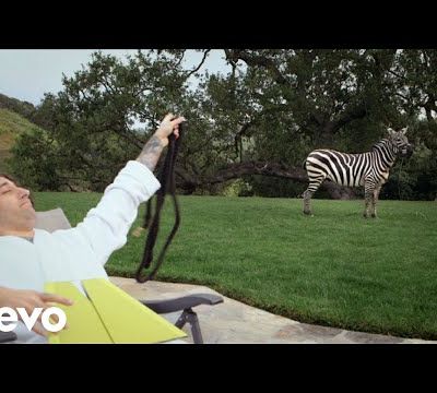 CLIP. Fall Out Boy "Uma Thurman"