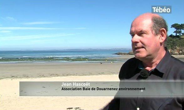 BDZE sur TEBEO : Ramassage des algues en mer à Ste-Anne