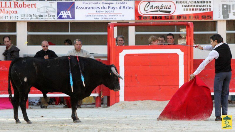 St-Martin-de-Crau Samedi 8 octobre 1011 Journée du Revivre de la Feria de la Crau Tienta de macho et de vacas et Lidia de 4 toros Ganaderias : Giraud-Malaga-Yonnet