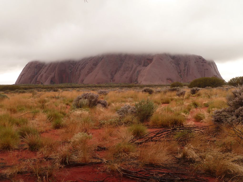 Album - 39 Outbacktrip von Prot-Augsta nach Alice Springs - Teil 2