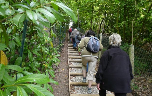 Ault le Bois de Cise