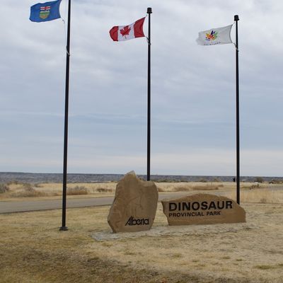 Parc provincial Dinosaur et musée Tyrrell Royal (Alberta)