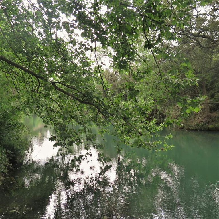 Entre Grabels et Montpellier (La Paillade) coule une rivière...c'est un secret