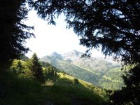 Le chemin dans la forêt. A travers les arbres, le Mont du Vallon.