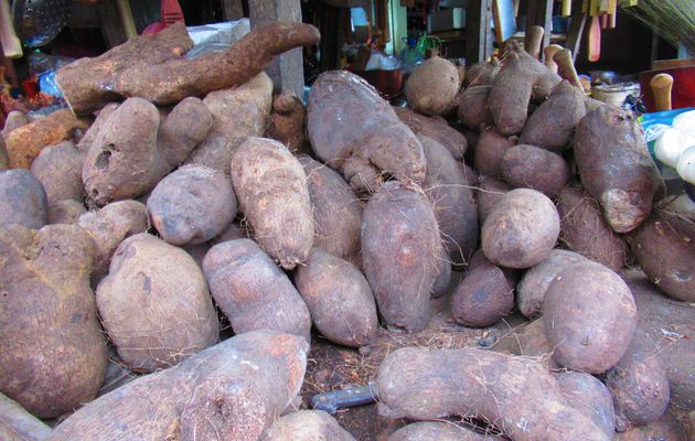 L’agriculture au Bénin