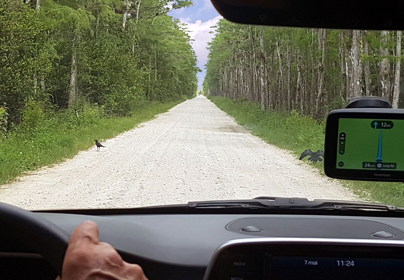 Everglades Big Cypress Loop Road