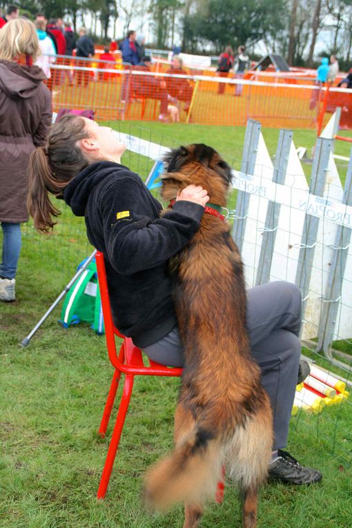 Album - 12-Concours-Agility-La-Martyre-10-03-2013-2