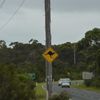 Reveillon, Parents, Jervis Bay et Hyams Beach