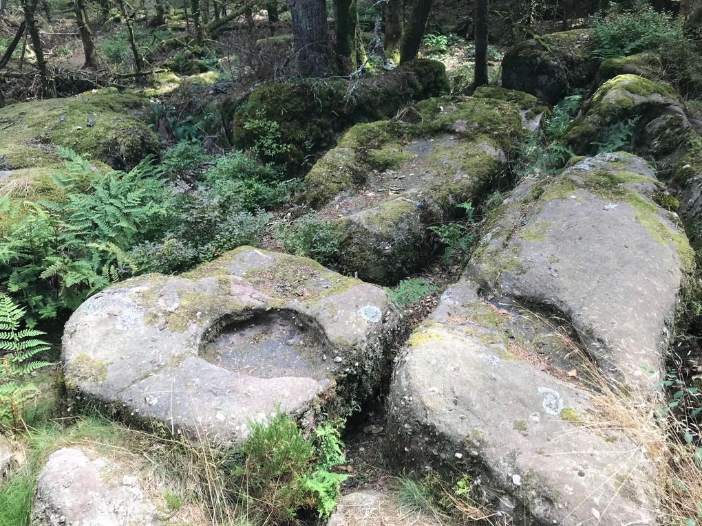 Sorcellerie sur le Mont Sainte-Odile