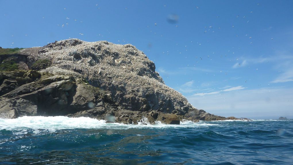 une semaine de navigation entre bréhat et les 7 îles