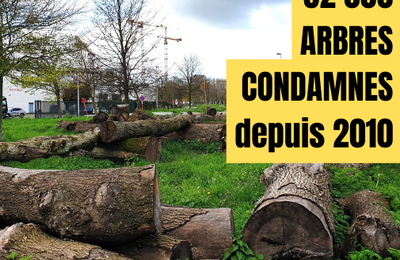 Plus de 62 000 arbres à haute tige condamnés depuis 2010 - Il est urgent d'agir