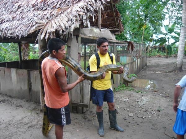 Album - Iquitos,l'Amazonie 12octobre