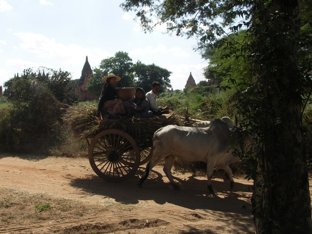 Retour à Bagan à la recherche du plus beau coucher de soleil, perché sur un des 4000 temples de l'ancienne ville.