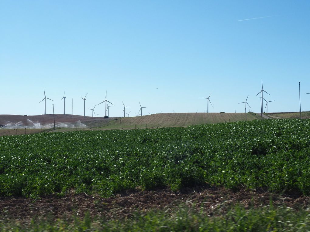 Les Bardenas