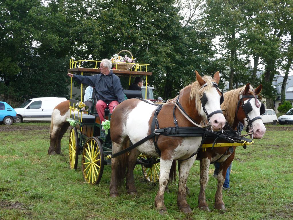 Album - comice-agricole-2008