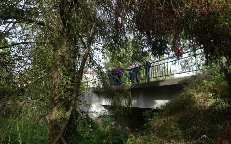 Reprise en douceur de la randonnée pour le groupe 2 emmené par Josiane sur un périple entre Précieux et St Romain le Puy