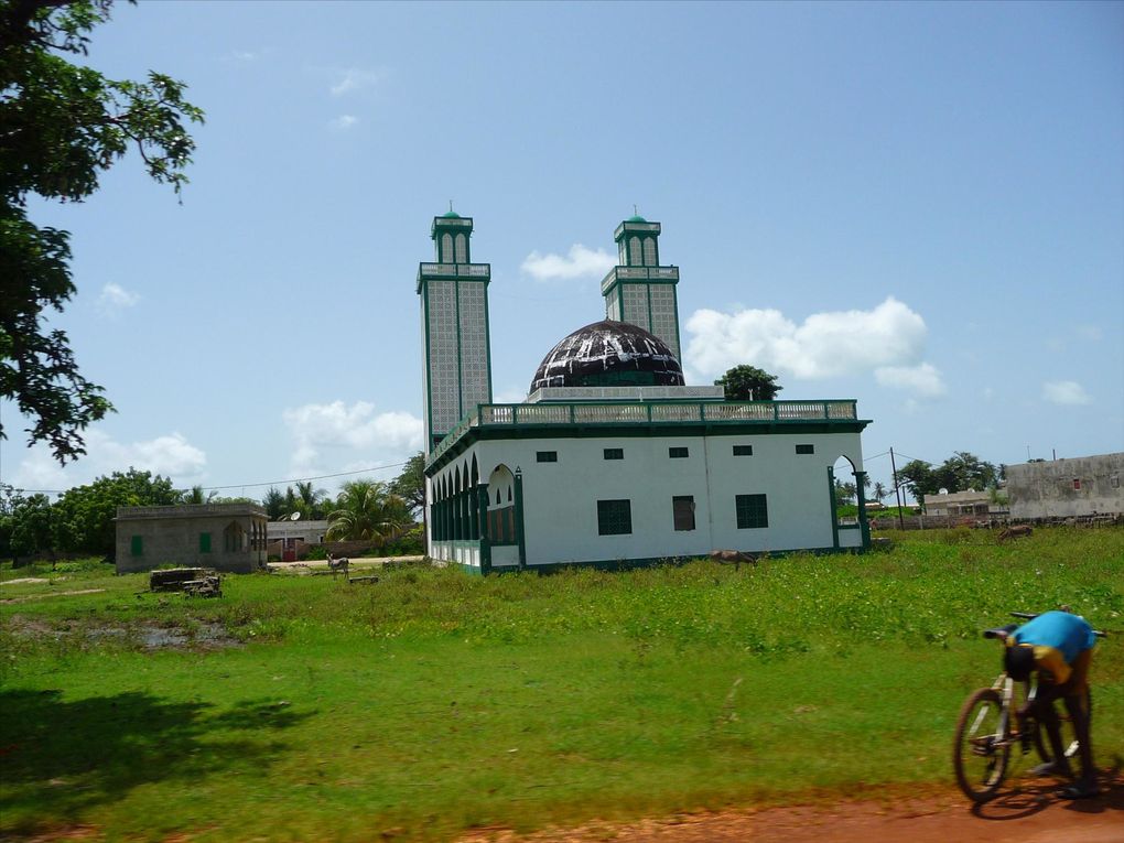 Album - Sine saloum