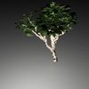 Créer de la végétation en 3D, Ivy generator