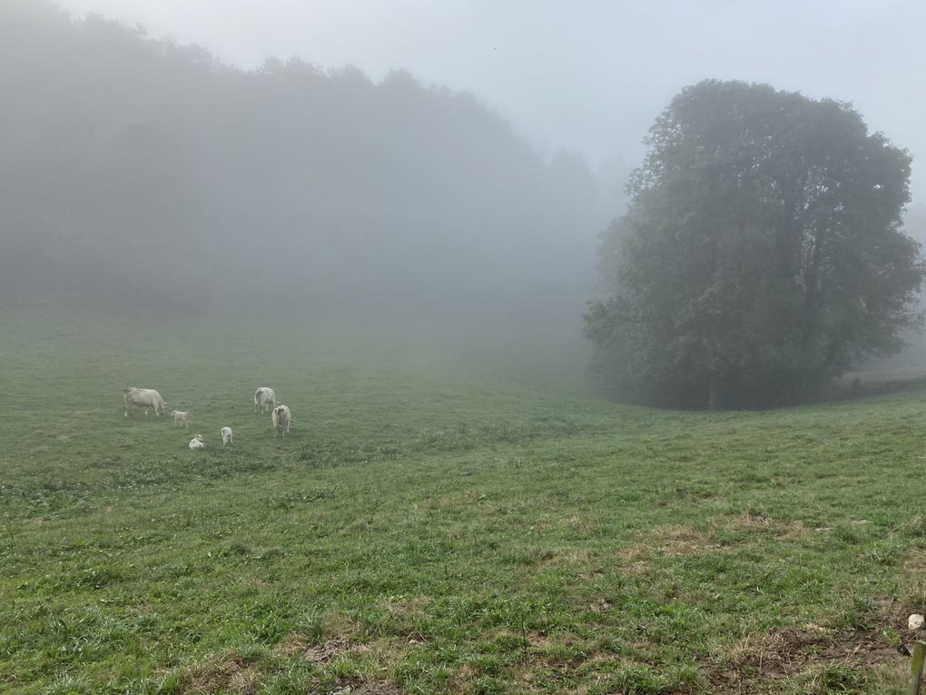 7ème étape : Triacastela - Sarria