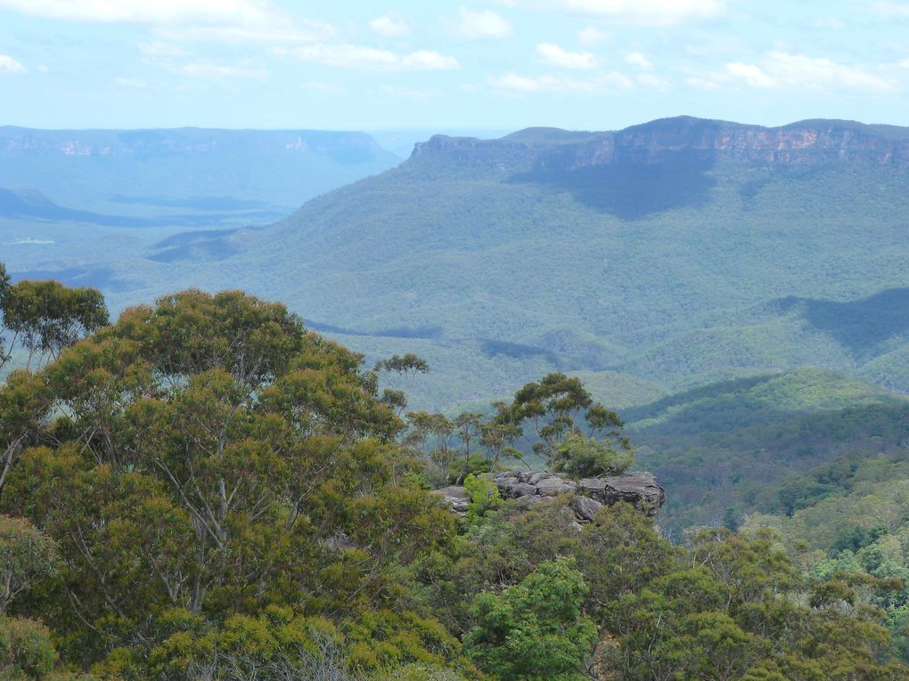 Album - Blue Mountains