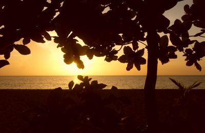 Un coucher de soleil en Martinique