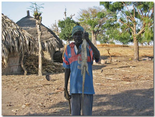 Album - le-senegal