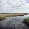 Parque Nacional Tablas de Daimiel: rutas y visitas de interés