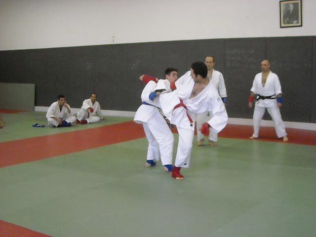 Compétition figthing jujitsu Région Limoges 2010 (le JSR bien représenté)