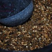 Mélange d'Epices Zaatar - Graine d'Epices