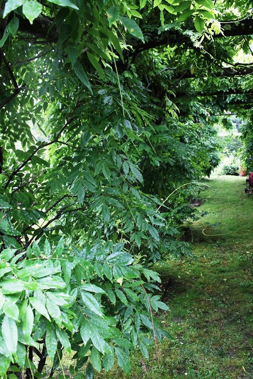 Domaine de Poulaines ... un jardin remarquable ...