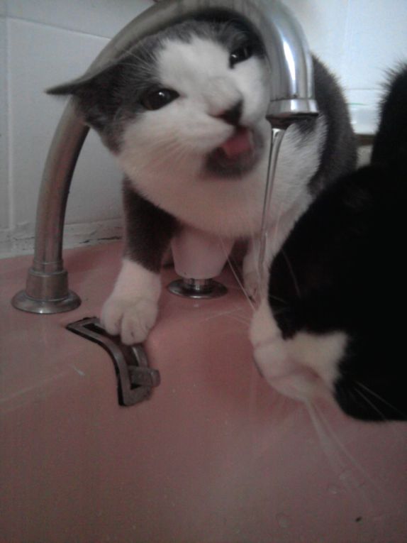 Comme c'est bon de boire au robinet !