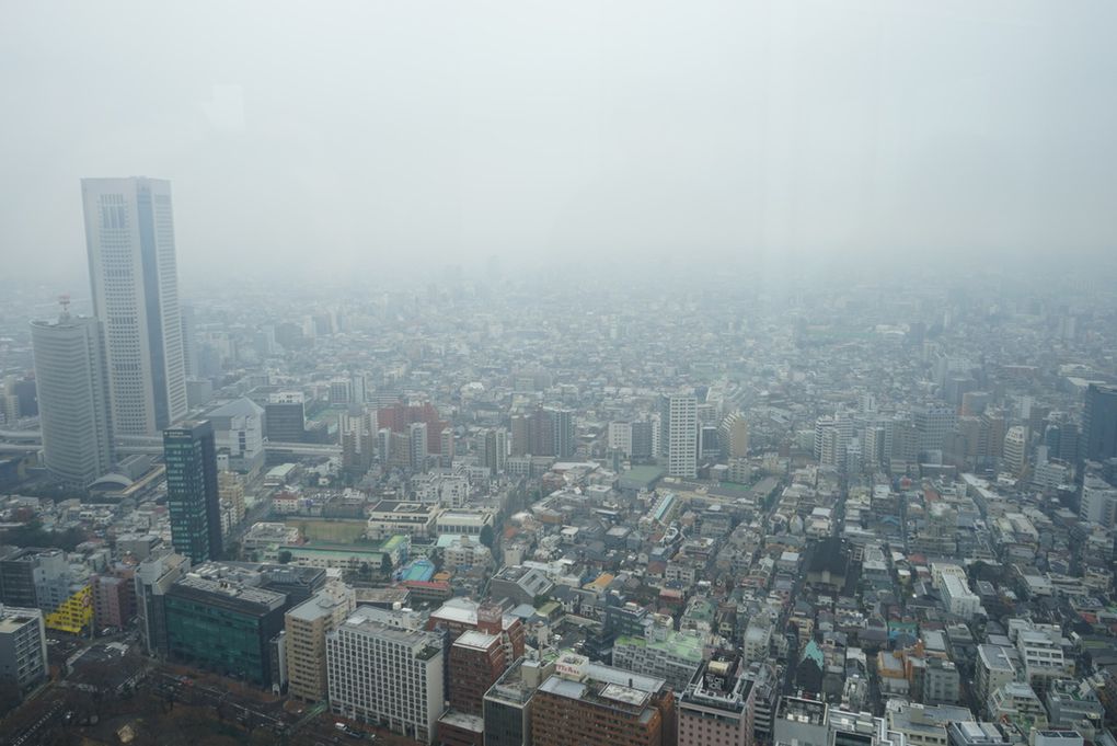 Tokyo - Deuxième jour