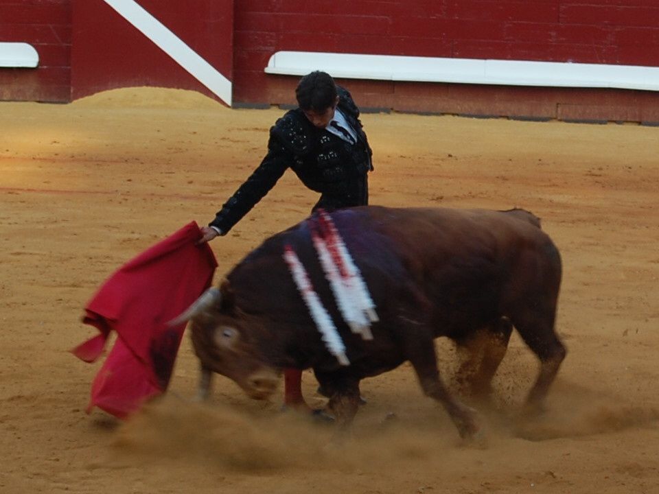 Album - Dax - Corrida du 16 août 2009