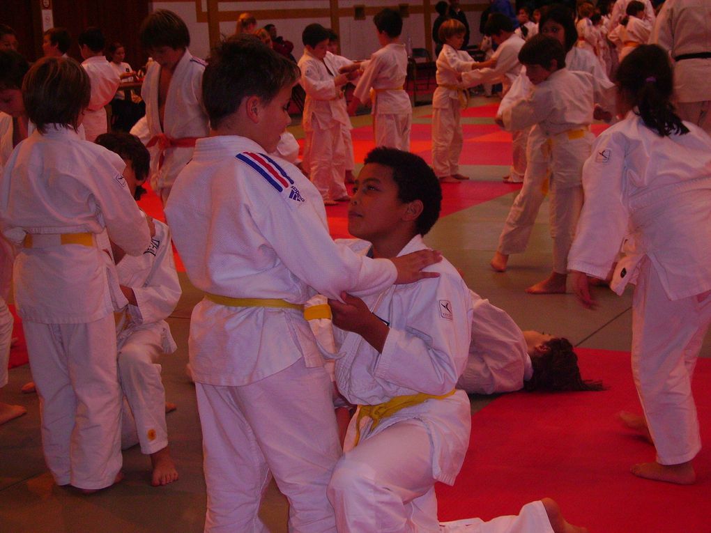 Stage d'arbitre et compétition "4 Saisons " & " Petits Tigres ". Et participation de Frédéric Demontfaucon, champion du monde en 2001 et médaille de bronze aux Jeux Olympiques de Sidney 2000.