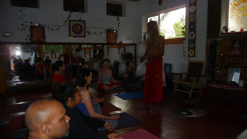 Yoga et découverte de l'Inde, voyage de février 2017. 