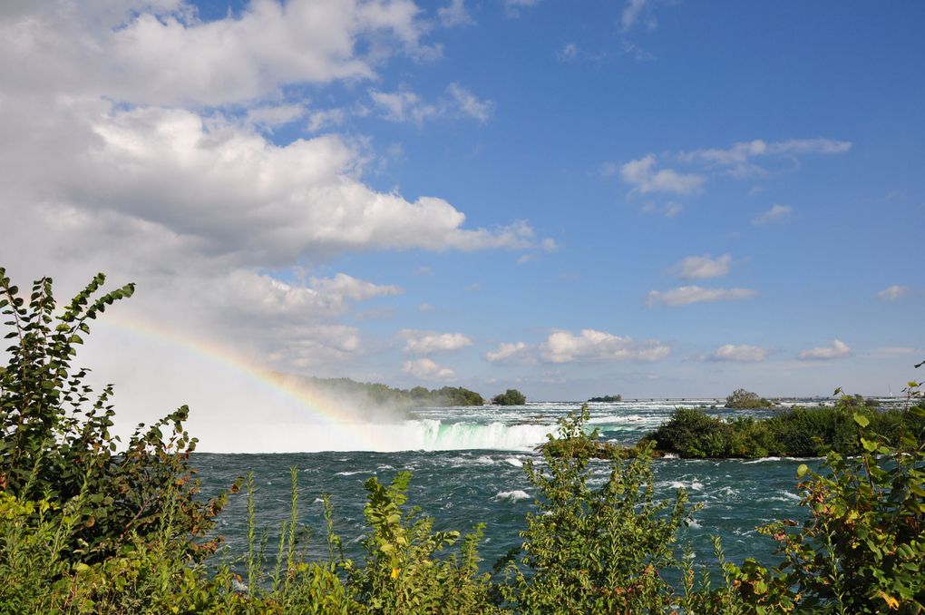 Album - Wasaga-et-Niagara