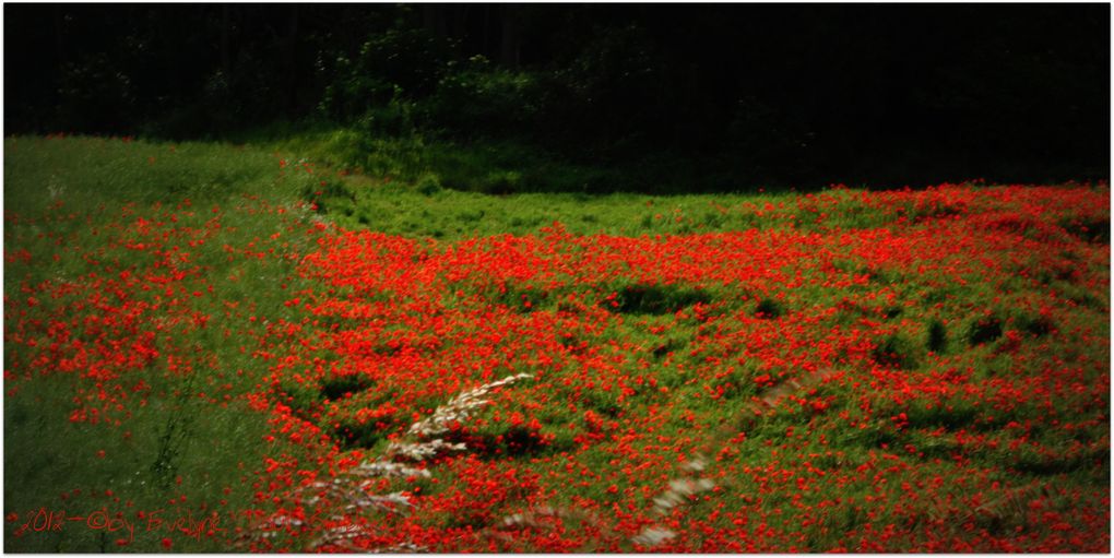 Album - Paysages