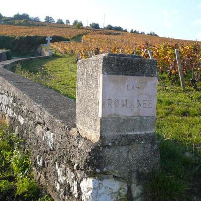 Côte d'Or : Promenade en Romanée Conti