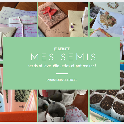 Je débute mes semis !